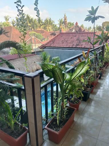 Grace Paradise Guest House Lembongan Kültér fotó